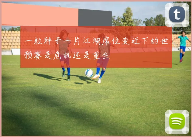 一粒种子一片江湖席位变迁下的世预赛是危机还是重生