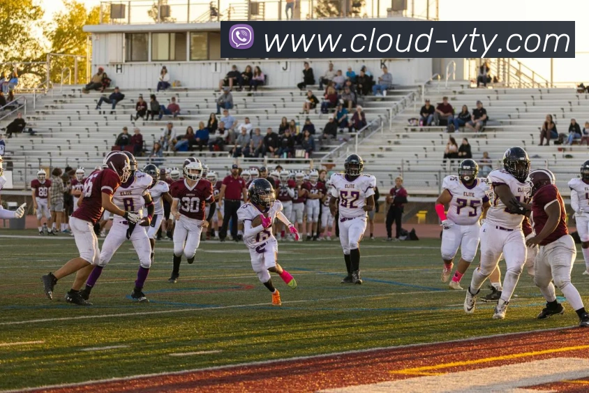 v体育平台生态图